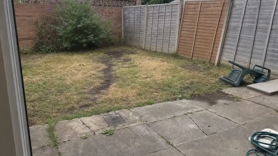Garden Redesign